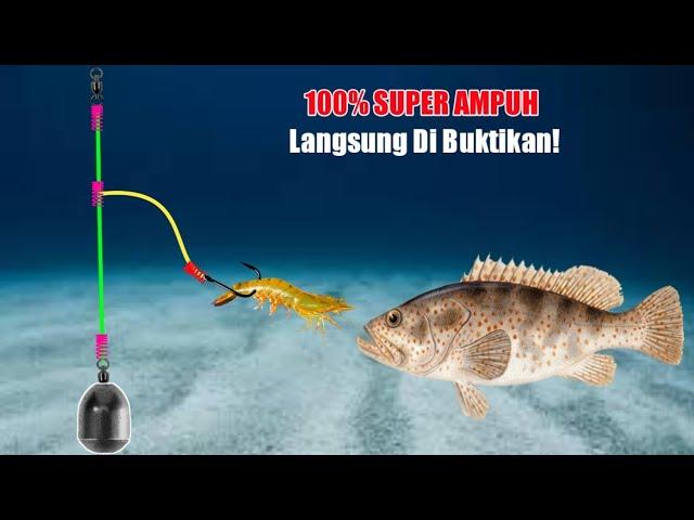 TES LANGSUNG‼️ Rangkaian Pancing Dasaran di Laut