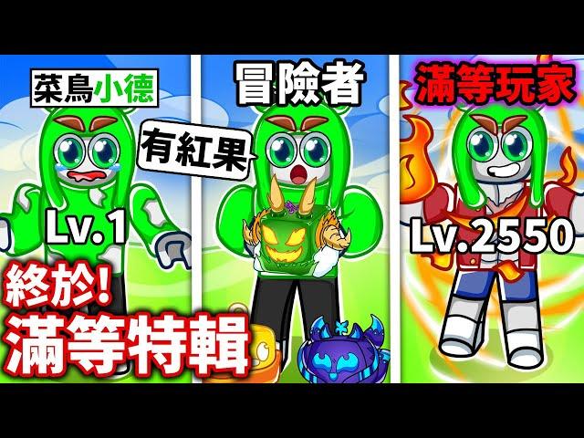 ROBLOX 終於滿等！入坑海賊王一年多！最後一次的漫長練等特輯！【Blox fruits】《 小德-機械方塊》