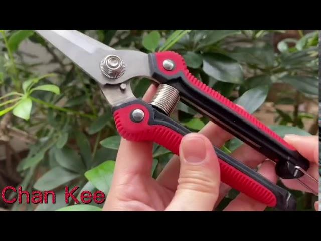 Chan Kee Pruners Gardening Tool Garden Hand Tool Clippers Pruning Shears from China Manufacturer