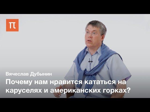 Вестибулярная система — Вячеслав Дубынин