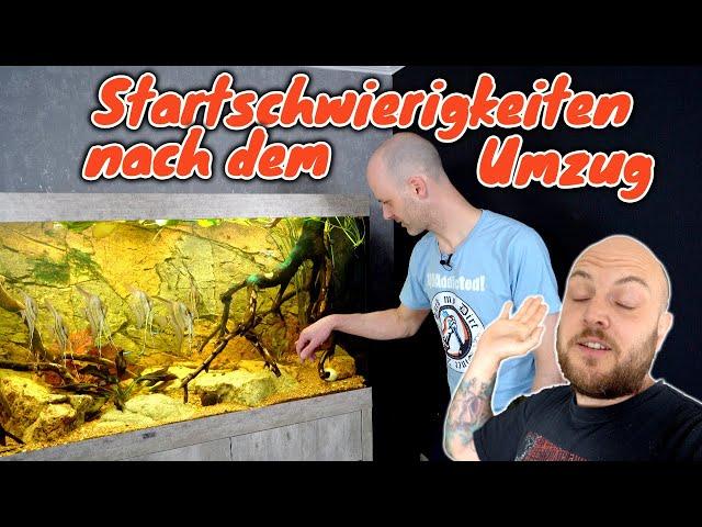 Algen und Nitrit im neuen 550 Liter Altum Biotopaquarium | Aquatlantis Sublime