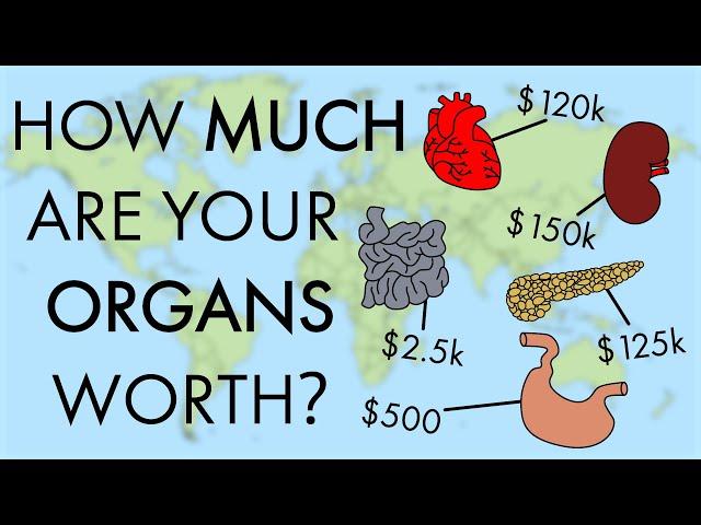 How Much Are Your Organs Worth?