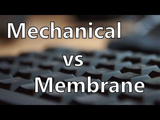 Mechanical Keyboard vs Membrane Keyboard Sound and Latency Test