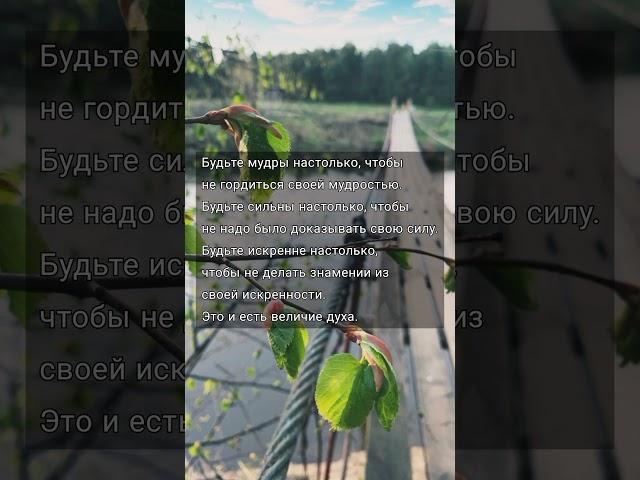 Мудрость слова  Цитаты со смыслом! Правда жизни 