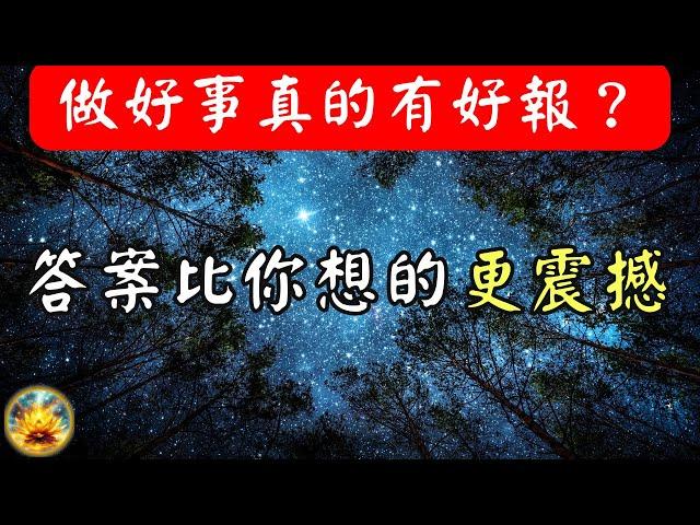 作惡的人為何有好報？行善的人卻歷經苦難？因果法則揭密，這才是『善終』的真正關鍵！ 【宸辰的分享天地】