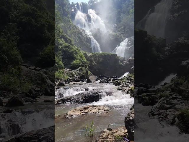 Dangari Waterfall, Bagicha Jashpur Nagar Chhattisgarh #shorts #shortvideo
