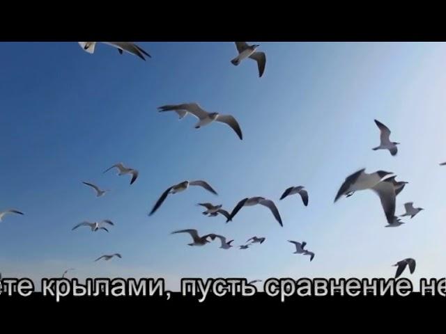 Любовь Строганова (г. Магнитогорск) с работой «Ода рукам»