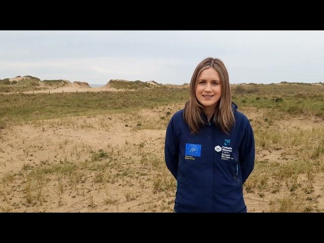 Sands of LIFE - Wales Nature Week / Twyni Byw - Wythnos Natur Cymru