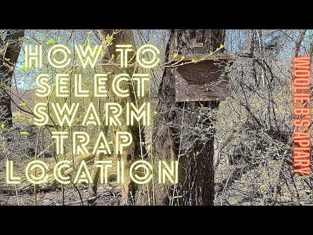 How to select a swarm trap location March 2021