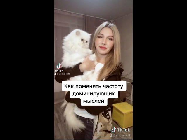 Частота доминирущих мыслей ( Архив 2020 г )
