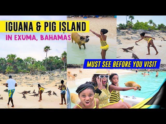 Iguana & Pig Island in Exuma, Bahamas  | Must Watch Before Going | LittleMissTravelers