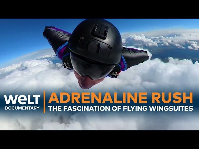 FLY LIKE A BIRD: The fascination and dangerous sides of wingsuit flying | WELT Documentary