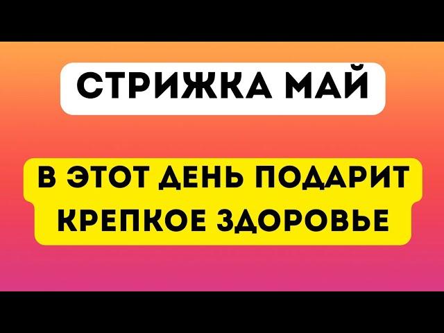 Стрижка на Май 2025 года. В этот день подарит крепкое здоровье.