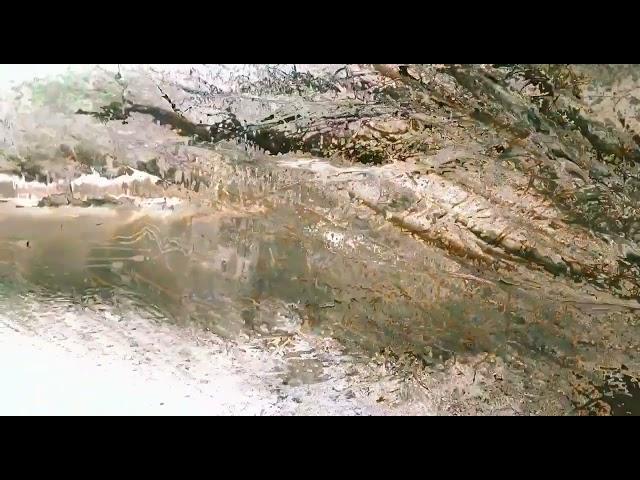 Юнона и Авось  Николай Караченцов,Елена Шанина