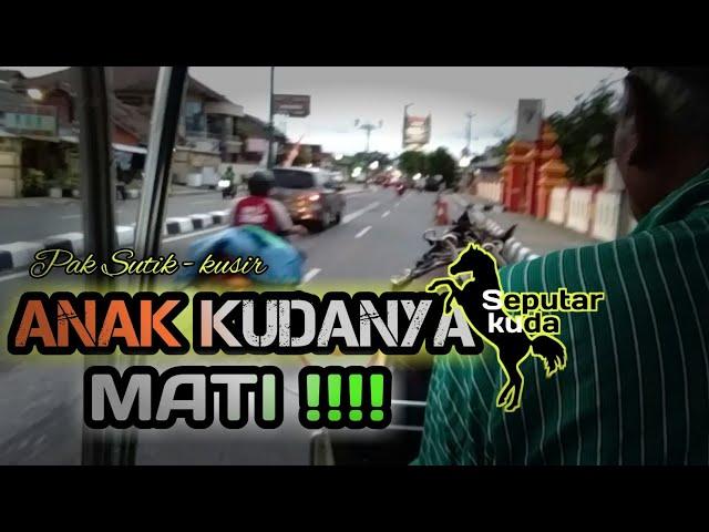 GRATISS !!!! Naik andong pulang dari malioboro | yeyen luncerholic