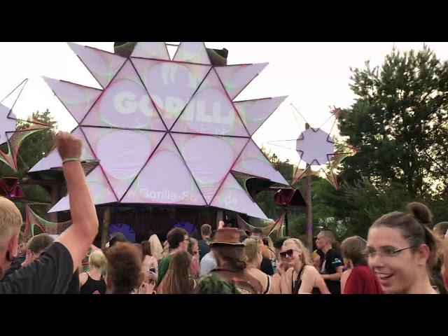 Psycko Live@Forrest Explosion SNT2019