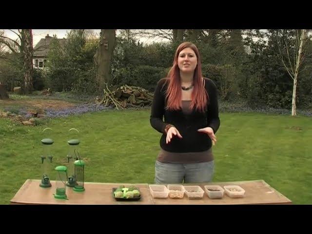 The Wildlife Garden Project - How to set up your bird feeders