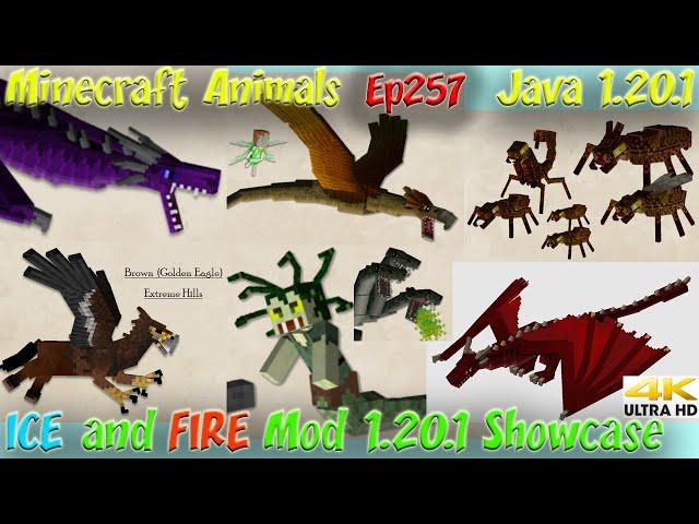 ICE and FIRE Dragon Mod 1.20 Showcase Dragons and Minecraft Creatures 1.20.1 Minecraft Animals Ep257