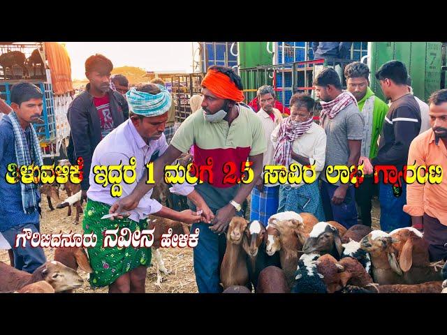 Kenguri Sheep Farmer Naveen from Gauribidanur Buying Sheep Kids at Kukanapalli Sheep Market