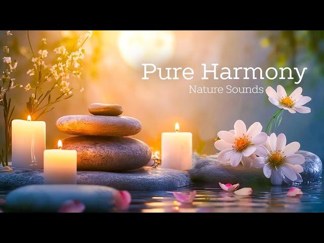 Beautiful Piano Music  Relaxing Music with Nature Sounds ~ Relieve Stress & Calming Piano Melodies