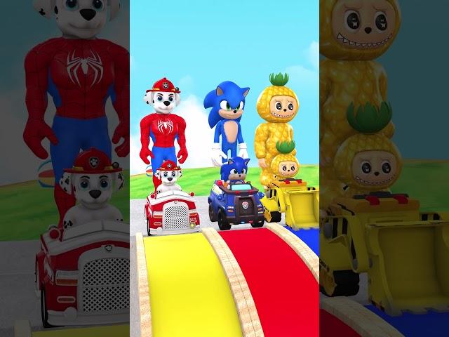 GTA V - Who's the Water Slide King? #pawpatrol #marshall #sonic #labubu #brainrot