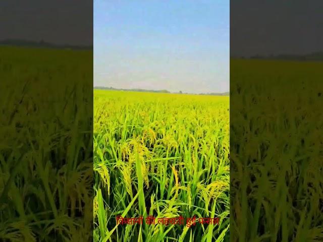 Farming