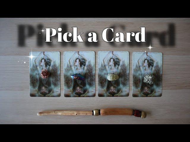 From Now Until The End of The Year! - Reading! Pick A Card