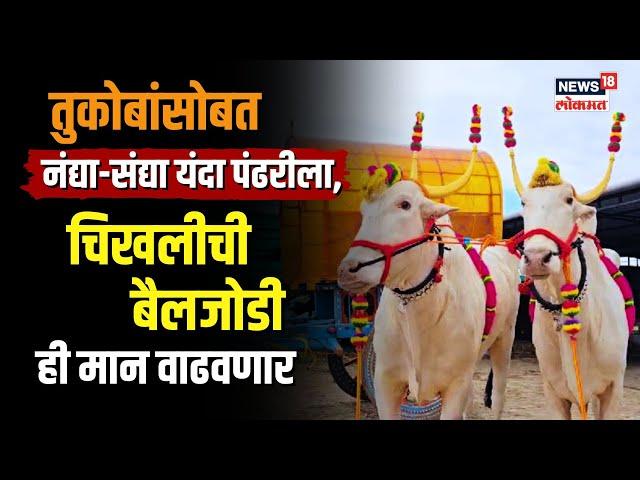 Ashadhi Wari 2024 | Tukaram Maharaj Palkhi ची खिल्लारी जोड पाहिली का? N18V