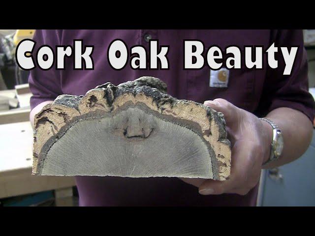 Round Cork Hole In A Square Oak Bowl!  New Wood Turning Video