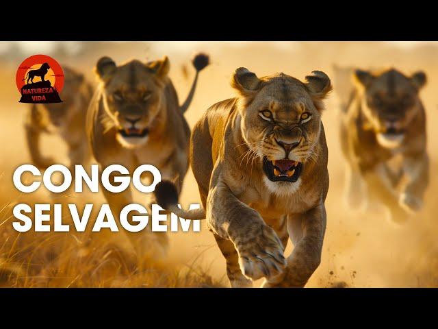 CONGO SELVAGEM | A Luta Pela Sobrevivência na Floresta Virgem | Documentários animais