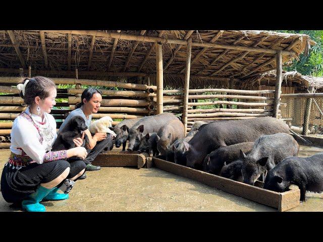 Zon Returns To The Farm To Continue His Life, Vàng Hoa , king kong amazon