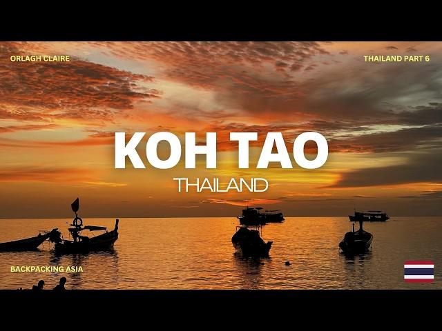 ONE WEEK on KOH TAO THAILAND travel vlog | the best island in thailand | orlagh claire