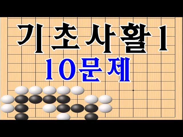 바둑기초 바둑배우기 기초사활1 (10문제)