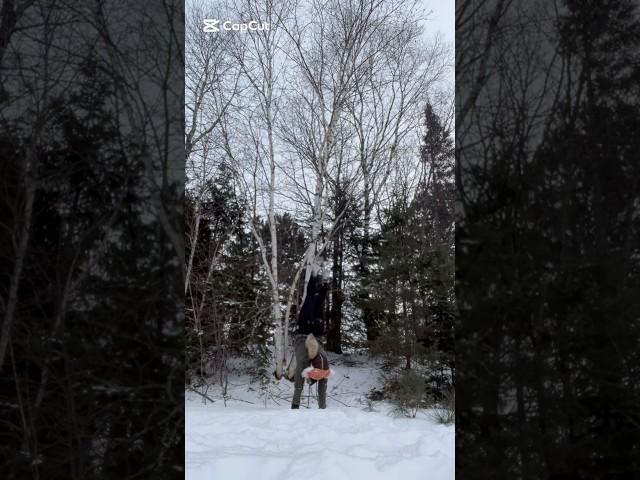 Snow#foryou #therian #orangecat #quadrobics #mask #jump #nature #snow