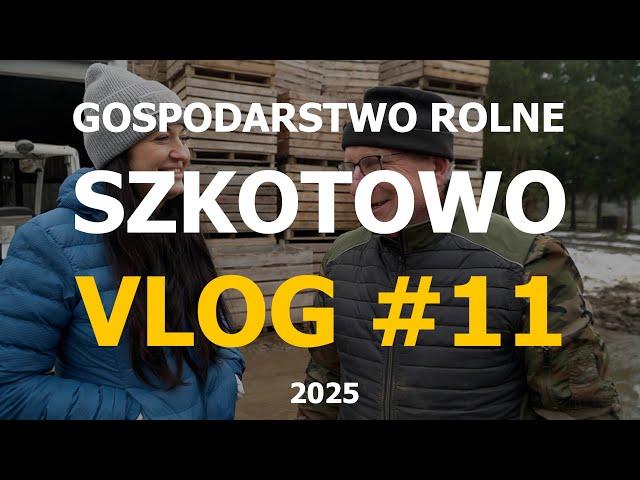 Export idzie pełną parą, postanowienia noworocznei ostateczna spłata długu// VLOG#11 GRSzkotowo