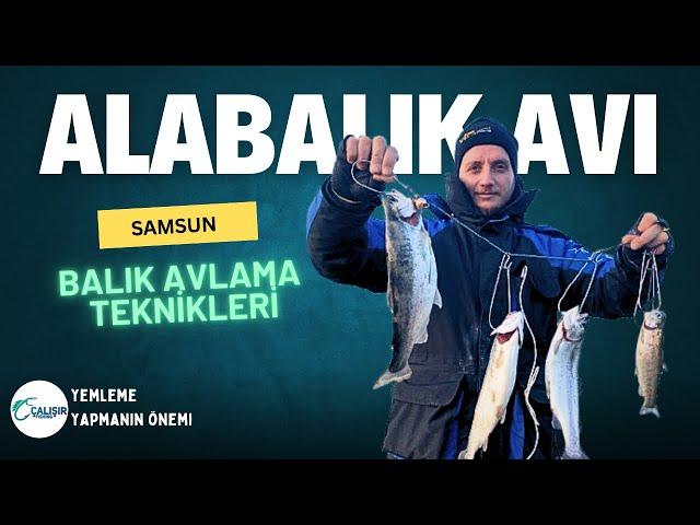 ALABALIK AVI / SAMSUN HAVZA