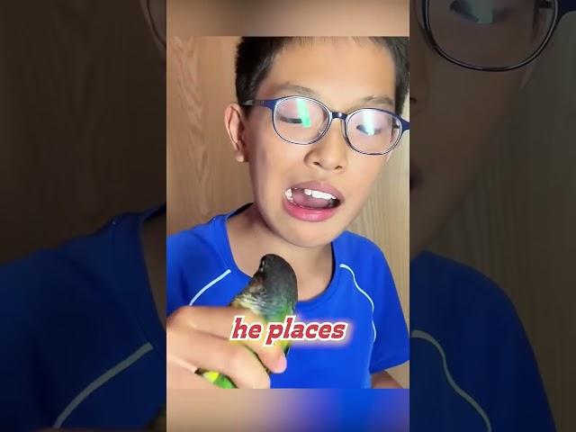 Parrot Dentist?! Watch This Boy's Crazy Tooth Extraction!