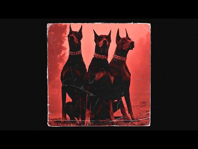 [FREE] "Wolves" | Pop Smoke x Roddy Ricch Type Beat 2020 | Free Trap Beat