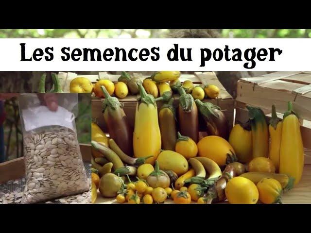 Faire ses semences au potager