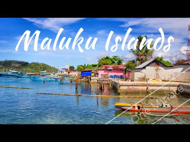 Maluku Islands in a Minute