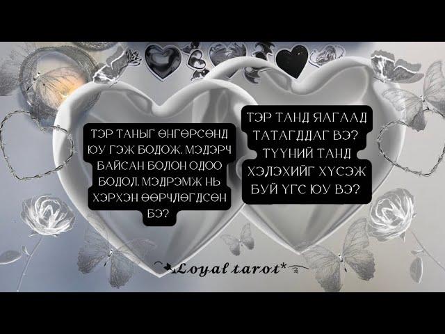 🩶Түүний таны талаарх өнгөрсөн болон одоогийн мэдрэмж. Яагаад татагддаг,хэлэхийг хүсэж буй үгс🩶