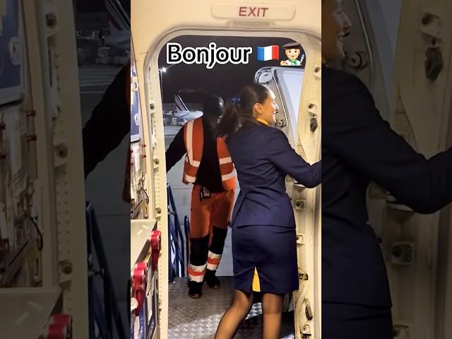 The Best Flight Attendant!