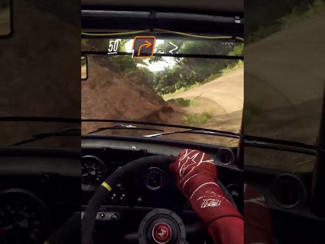 Bad Gaming Facts DiRT Rally 2 0