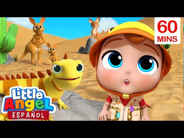 Animales Del Mundo | Caricaturas | Canciones Infantiles| Little Angel Español