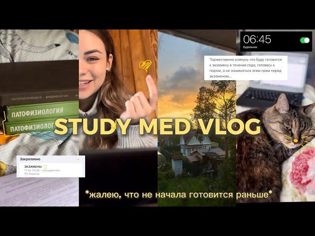 study med vlog: моя реалистичная сессия part 2