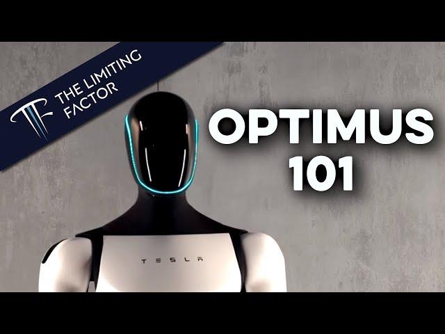 Optimus 101:  Why Humanoid, Why Now, and Why Tesla?