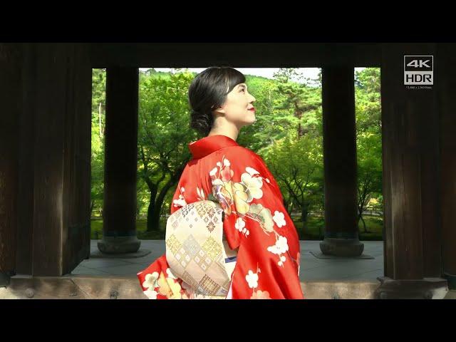 Kyoto Japan in 4K HDR | Sony Bravia DEMO | Screen Test video #dolbyvision #4khdr #tvcalibration