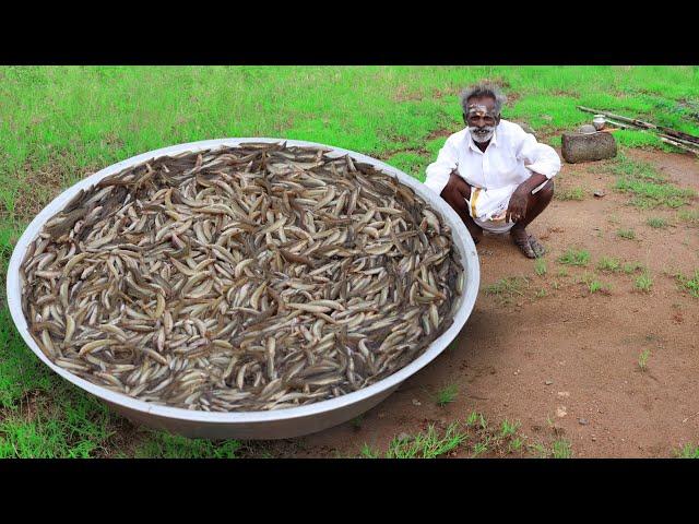 Rare River Fish Kulambu Prepared by my daddy / Ayirameen Kulambu / Village food factory