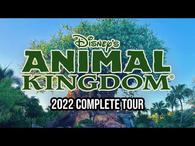 Disney's Animal Kingdom - 2022 Walkthrough with Ride POVs