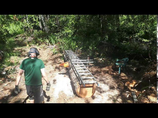 Milling Douglas Fir with a chainsaw